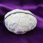 Moroccan Clear Quartz Wish Cave (With Certificate and Pre-Energized)